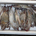 Cheap price factory whole frozen blue swimming crab for sale